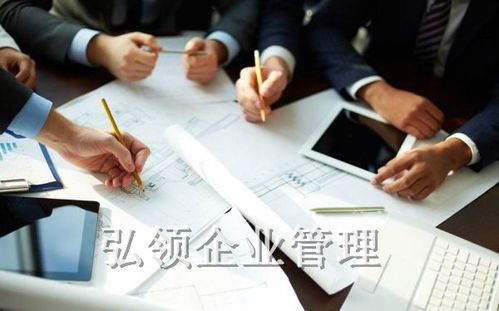 安徽弘領(lǐng)企業(yè)管理咨詢(xún) 賦能企業(yè)成長(zhǎng)的智慧伙伴